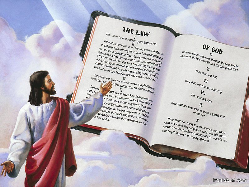 �����˶�