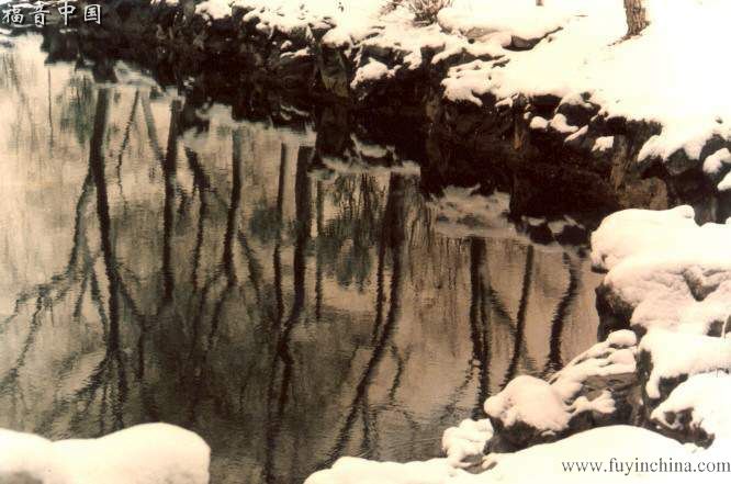 ��Լ��Ҽ�����顷��ʤ������