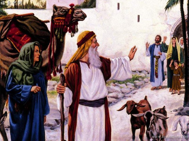 ������-14�ǲ�����