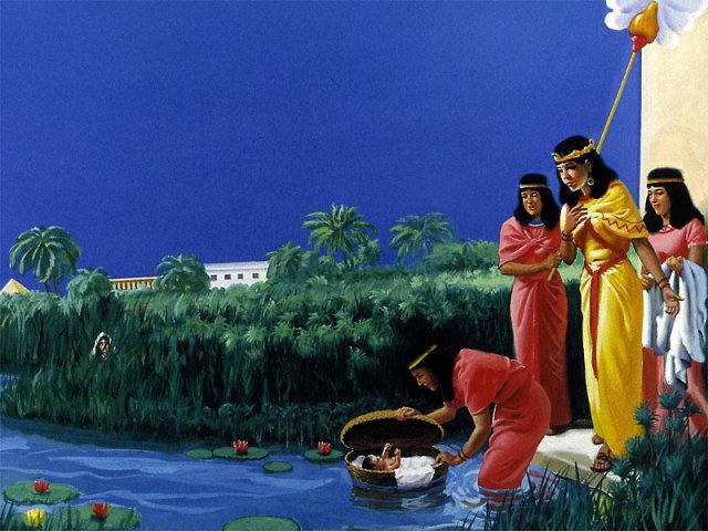 ʥ��ͼ��Section 01